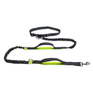Unleash Adventure with Our Outdoor Adjustable Pet Harness Collar Jogging Leash Set
