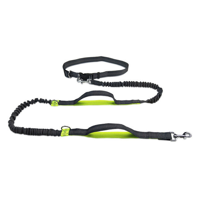 Unleash Adventure with Our Outdoor Adjustable Pet Harness Collar Jogging Leash Set