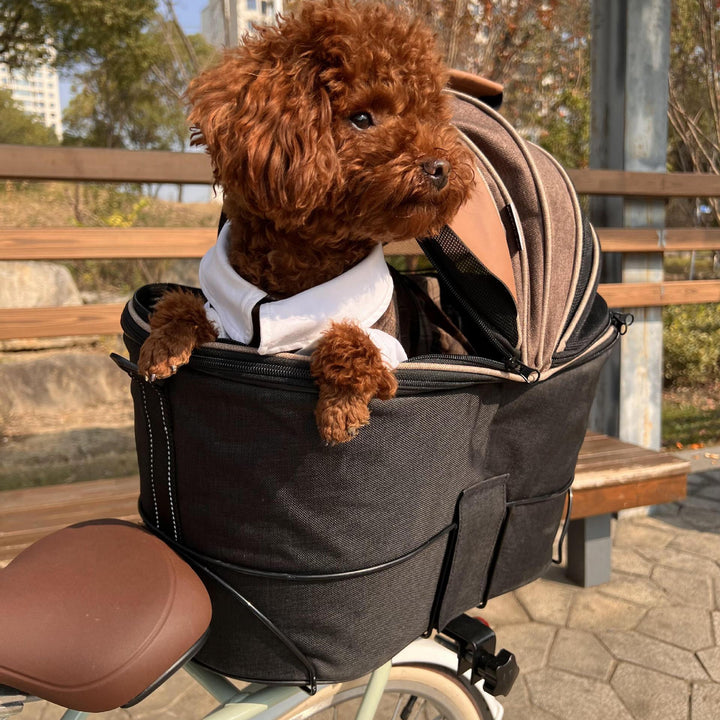 Traveling with Your Pet Made Easy!