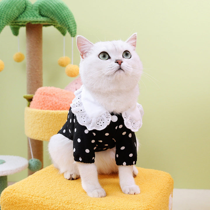 Stylishly Comfortable: The Blue Printed Pet Cotton T-Shirt Clothing