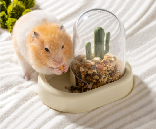 The Creative Cactus Hamster Automatic Feeder: A Must-Have for Every Hamster Owner