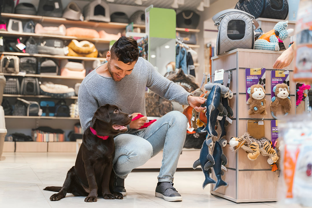 Choosing The Best Pet Toys