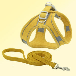 Discover the Vest Type Pet Chest Harness Leash