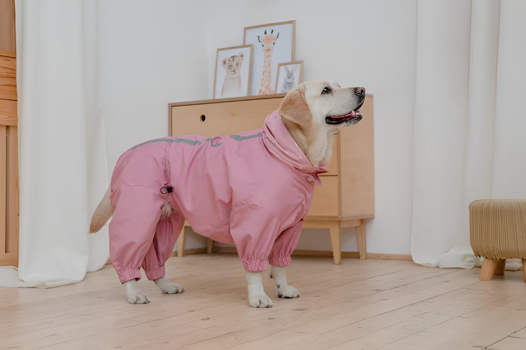 Stylish And Practical Pet Clothes